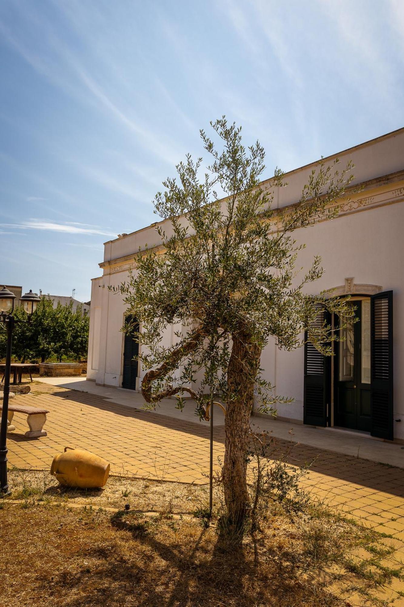 Affittacamere Giardino Delle Zie-Vicino Ospedale Cardinale Panico Tricase Exterior photo